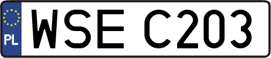 WSEC203