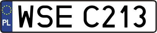 WSEC213