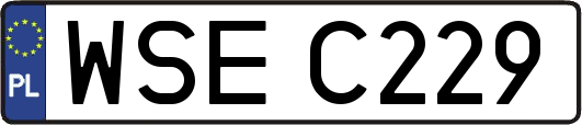 WSEC229