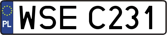 WSEC231