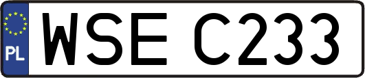 WSEC233