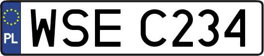WSEC234