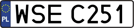 WSEC251