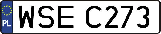 WSEC273