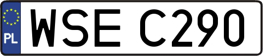 WSEC290