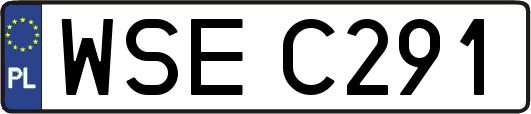 WSEC291