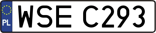 WSEC293