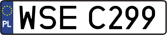 WSEC299