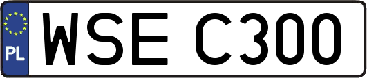 WSEC300