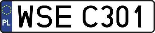 WSEC301