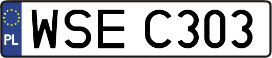 WSEC303