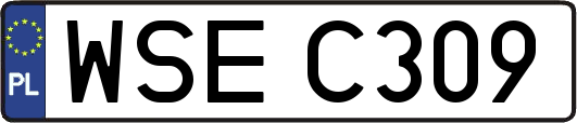 WSEC309