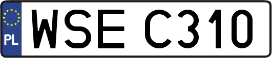 WSEC310