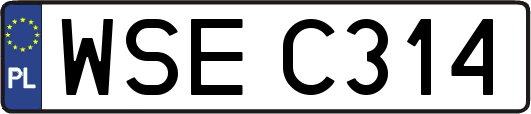WSEC314