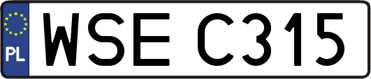 WSEC315