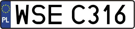 WSEC316