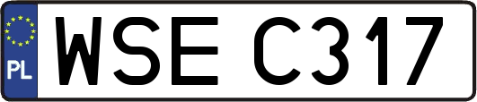 WSEC317
