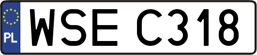 WSEC318