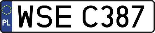 WSEC387
