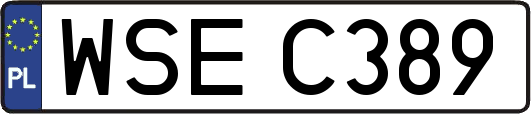 WSEC389