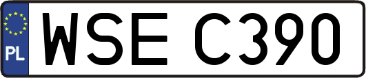 WSEC390