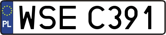 WSEC391