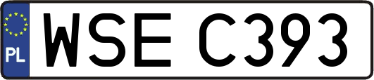 WSEC393