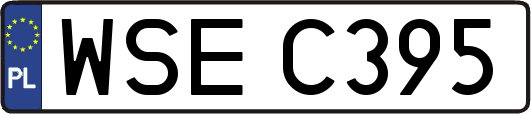 WSEC395