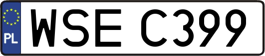 WSEC399
