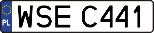 WSEC441