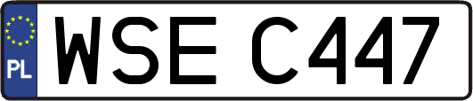 WSEC447