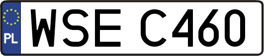 WSEC460
