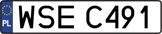WSEC491
