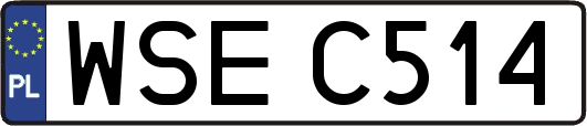 WSEC514