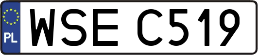 WSEC519