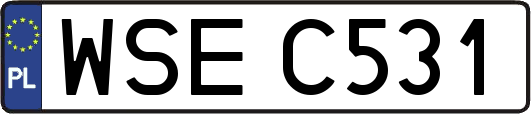 WSEC531