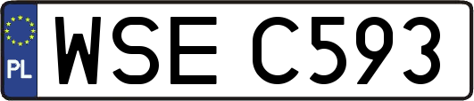 WSEC593