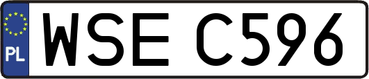 WSEC596