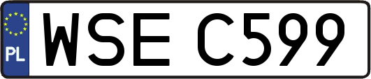 WSEC599
