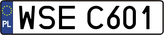 WSEC601