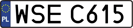 WSEC615