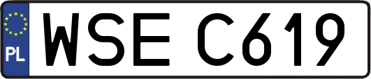 WSEC619