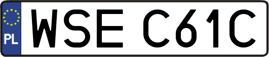 WSEC61C