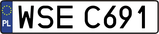 WSEC691