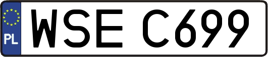 WSEC699