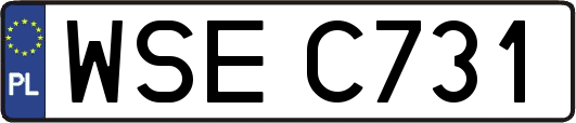 WSEC731