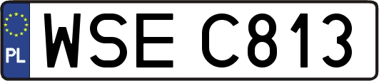 WSEC813