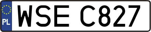 WSEC827