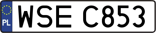 WSEC853