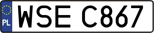 WSEC867